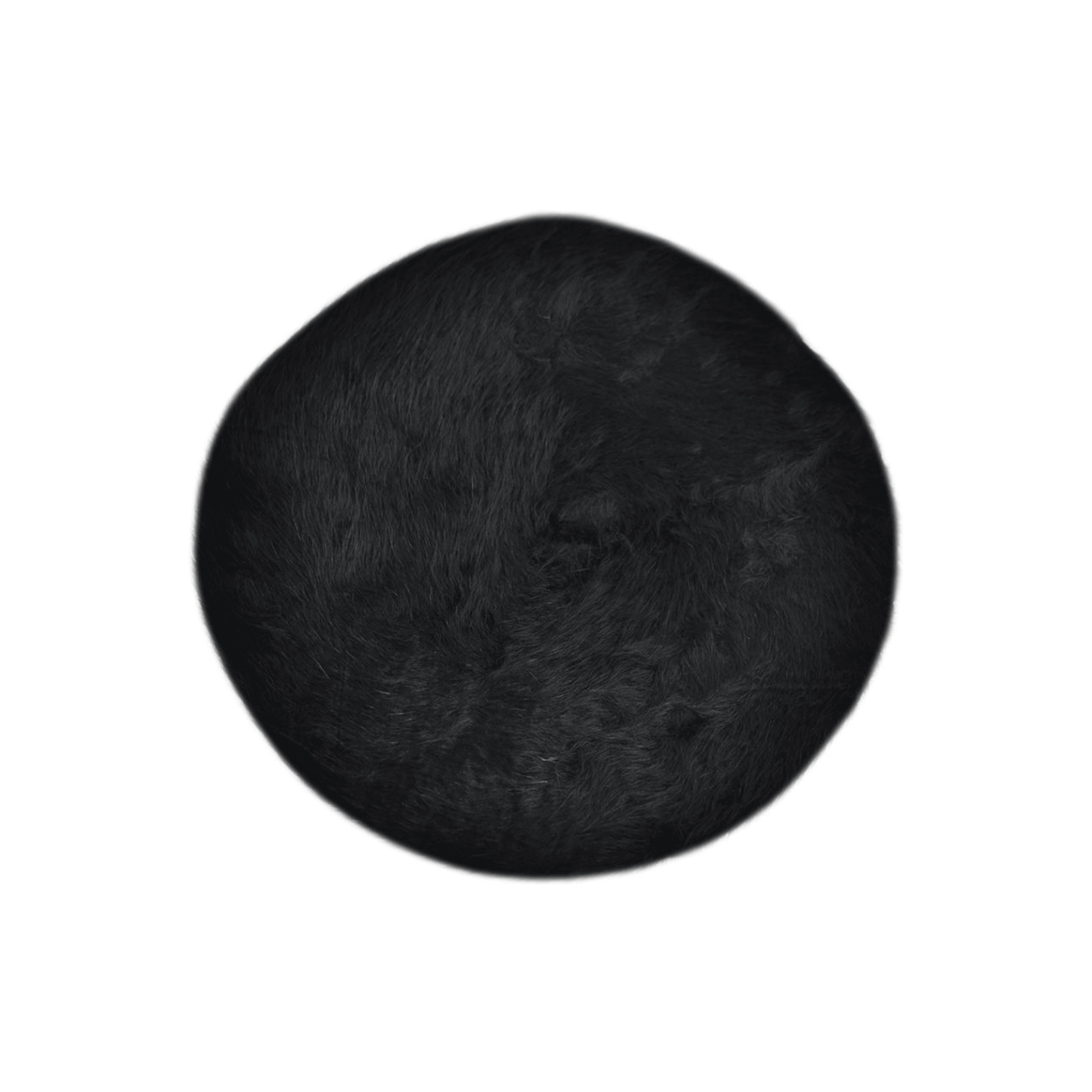Women's Winter Beautiful Angora Furry French Beret Hat - hatsXcaps