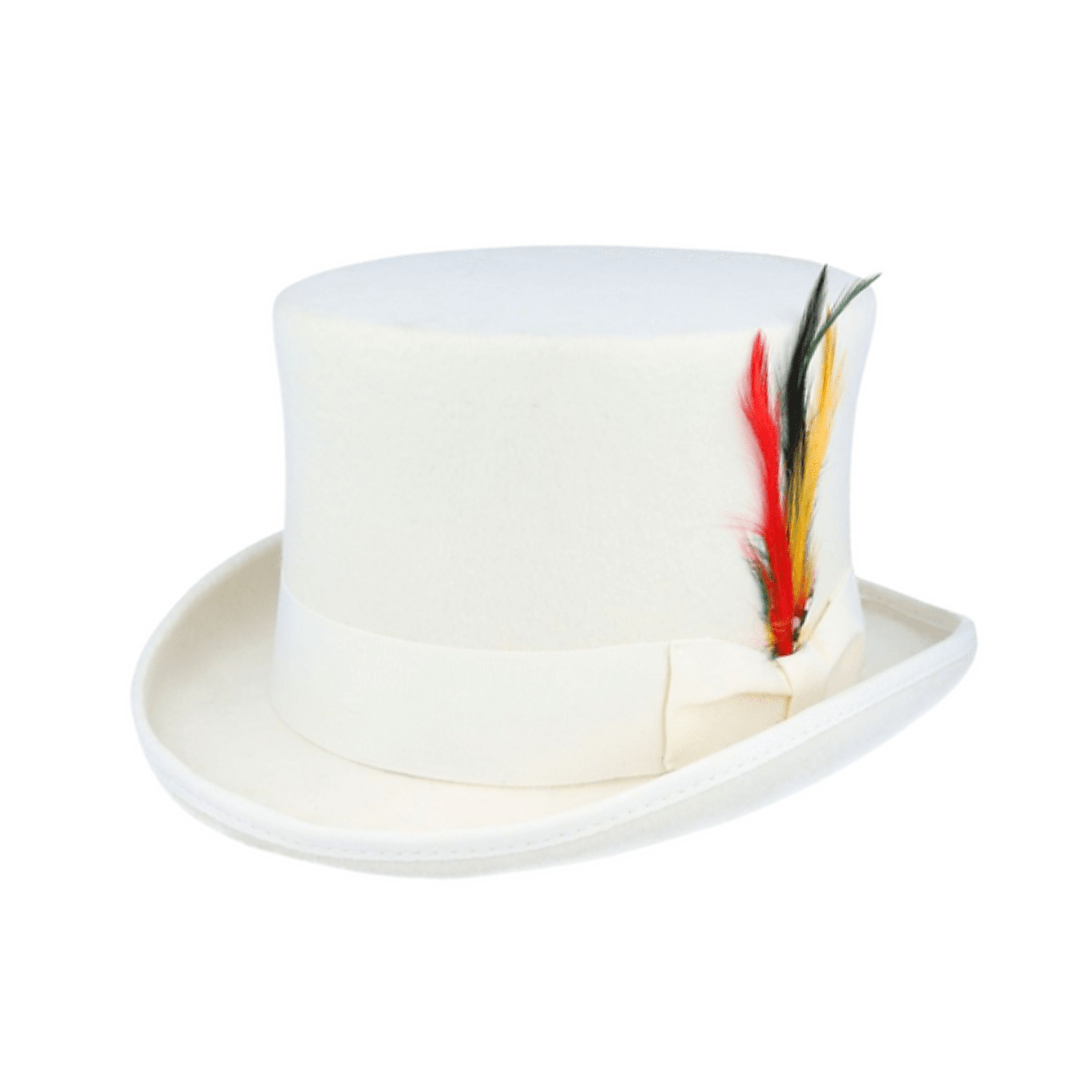 Wool felt Top Hats for Men Removable Feather High Crown - hatsXcaps