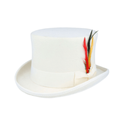 Wool felt Top Hats for Men Removable Feather High Crown - hatsXcaps