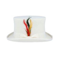 Wool felt Top Hats for Men Removable Feather High Crown - hatsXcaps