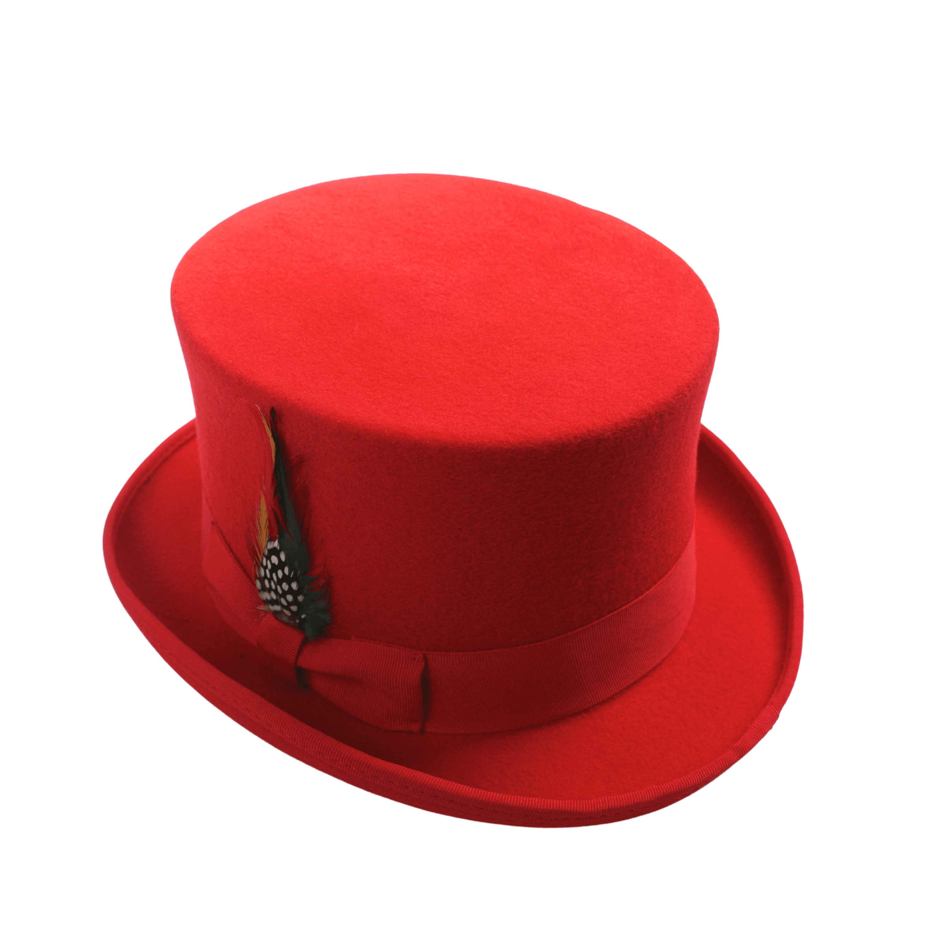 Wool felt Top Hats for Men Removable Feather High Crown - hatsXcaps