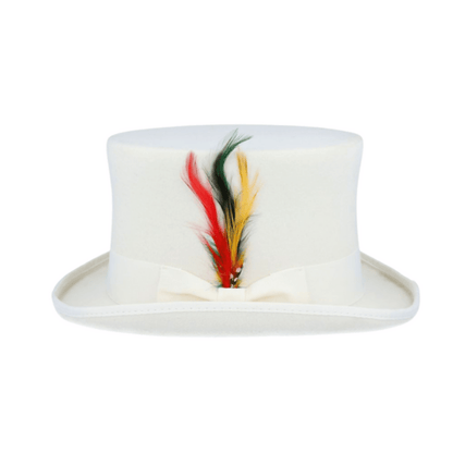 Wool felt Top Hats for Men Removable Feather High Crown - hatsXcaps